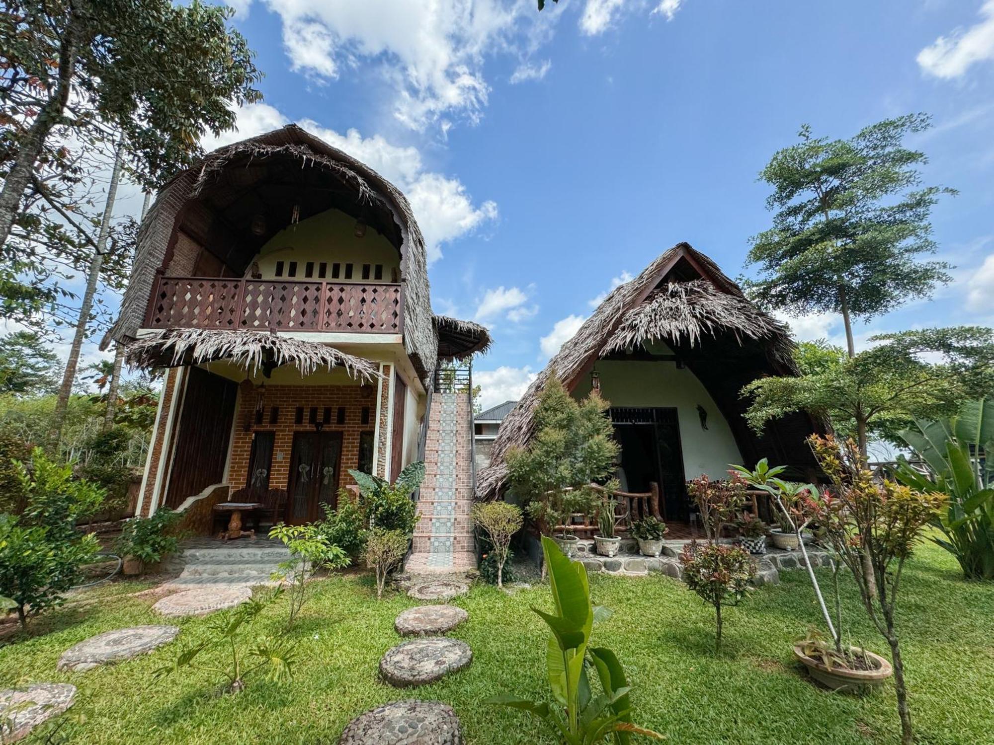 Sumatra Orangutan Treks Villa & Eco Jungle Trekking Activity Timbanglawang Zewnętrze zdjęcie