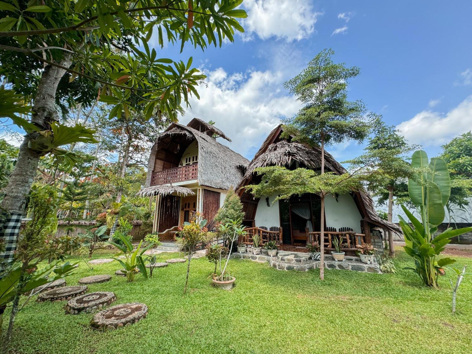 Sumatra Orangutan Treks Villa & Eco Jungle Trekking Activity Timbanglawang Zewnętrze zdjęcie