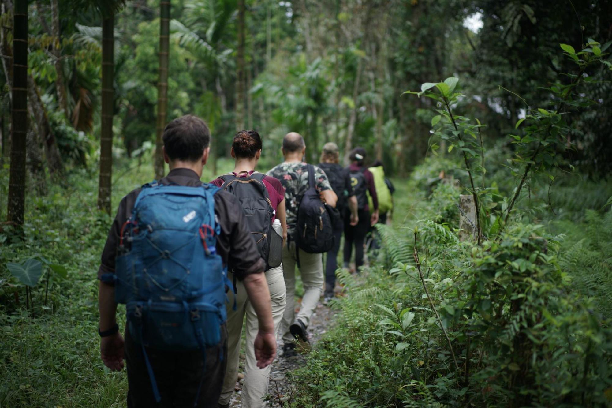 Sumatra Orangutan Treks Villa & Eco Jungle Trekking Activity Timbanglawang Zewnętrze zdjęcie