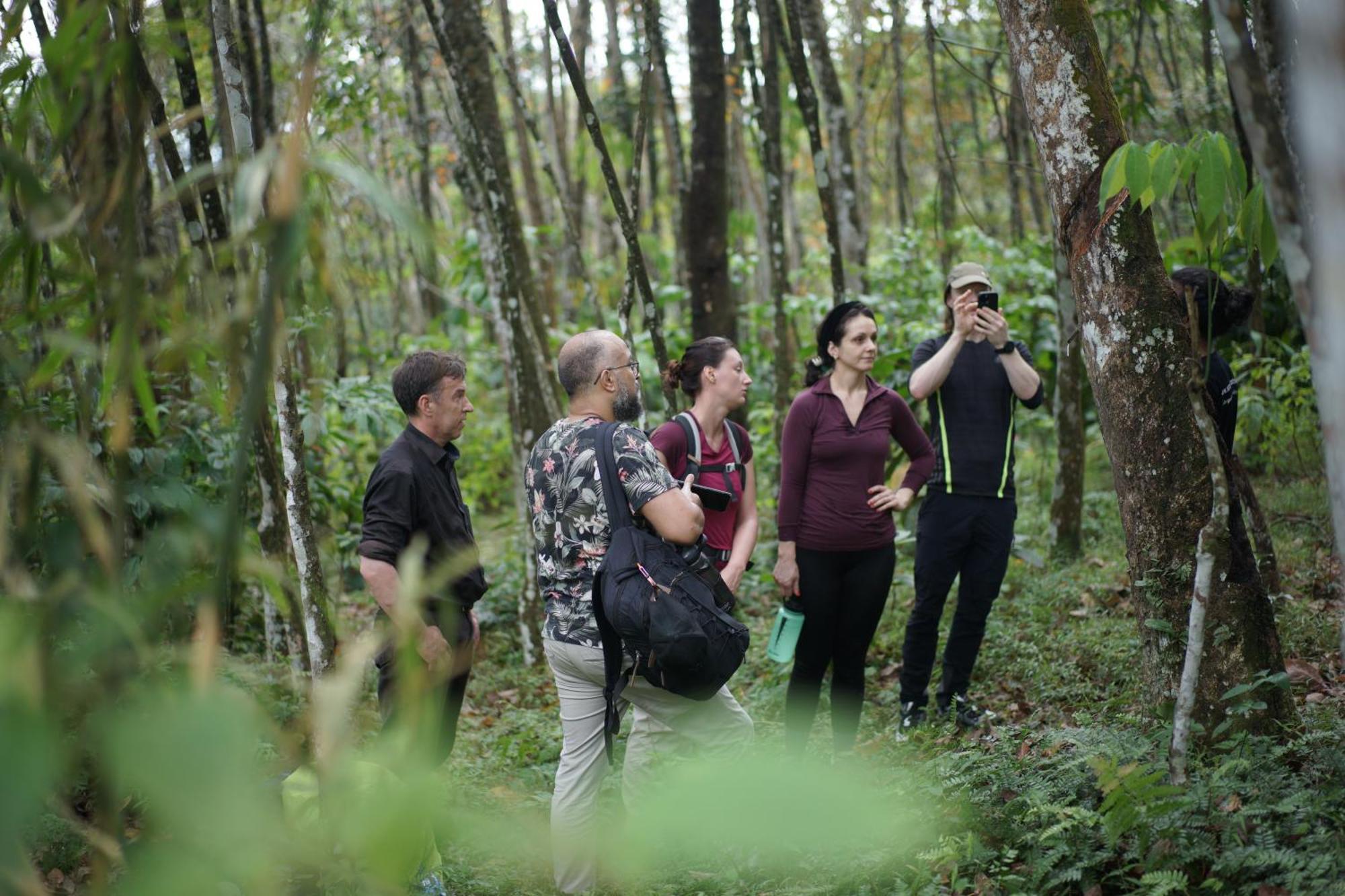 Sumatra Orangutan Treks Villa & Eco Jungle Trekking Activity Timbanglawang Zewnętrze zdjęcie