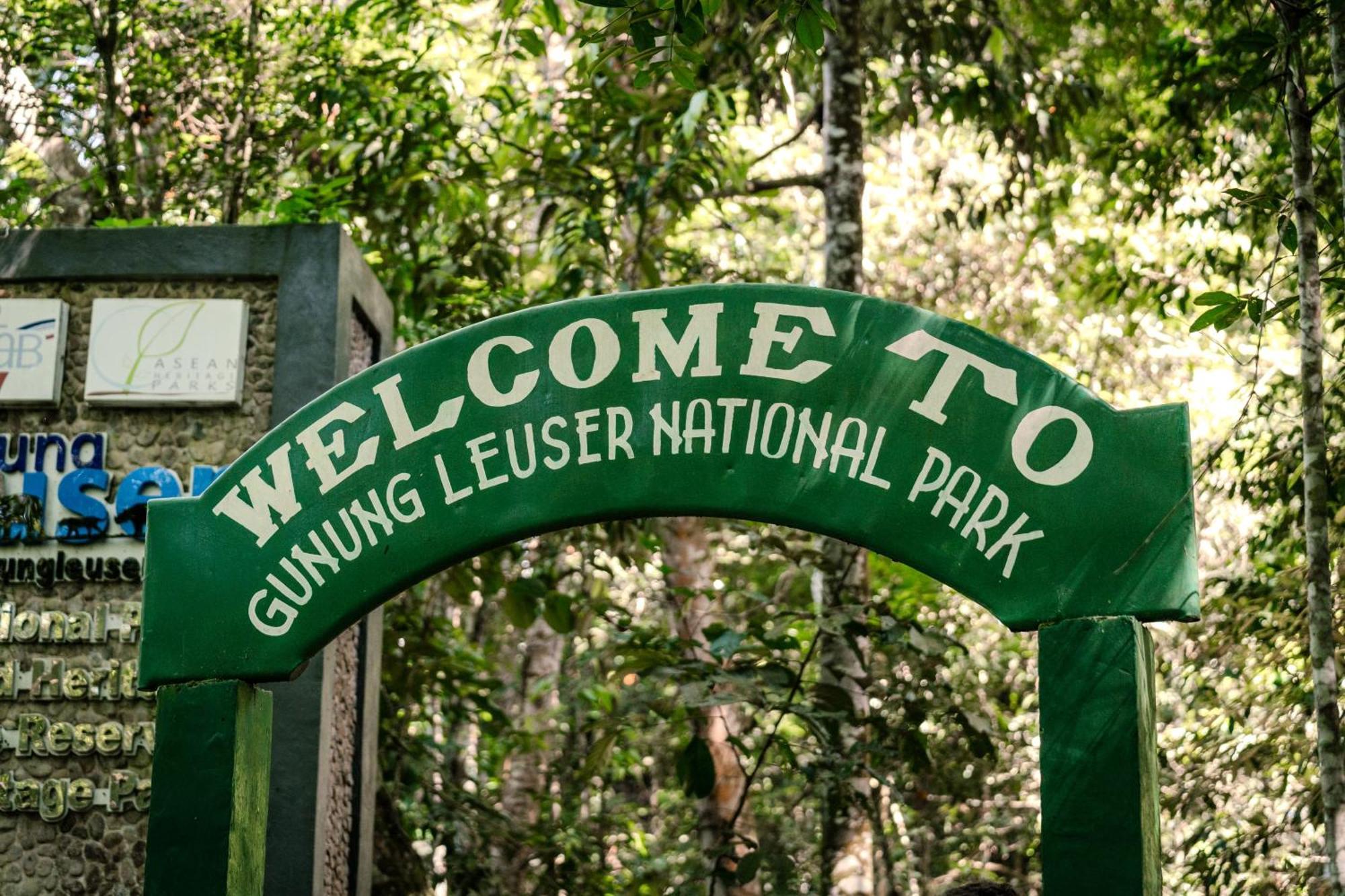 Sumatra Orangutan Treks Villa & Eco Jungle Trekking Activity Timbanglawang Zewnętrze zdjęcie