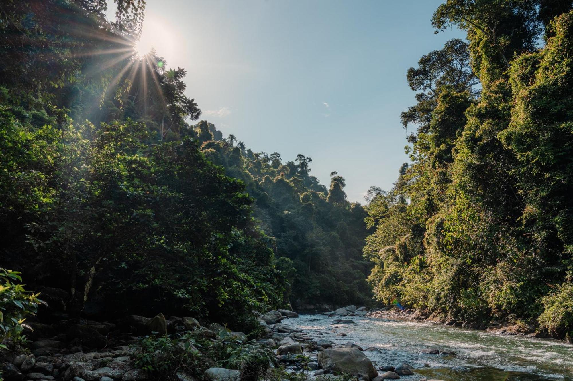 Sumatra Orangutan Treks Villa & Eco Jungle Trekking Activity Timbanglawang Zewnętrze zdjęcie