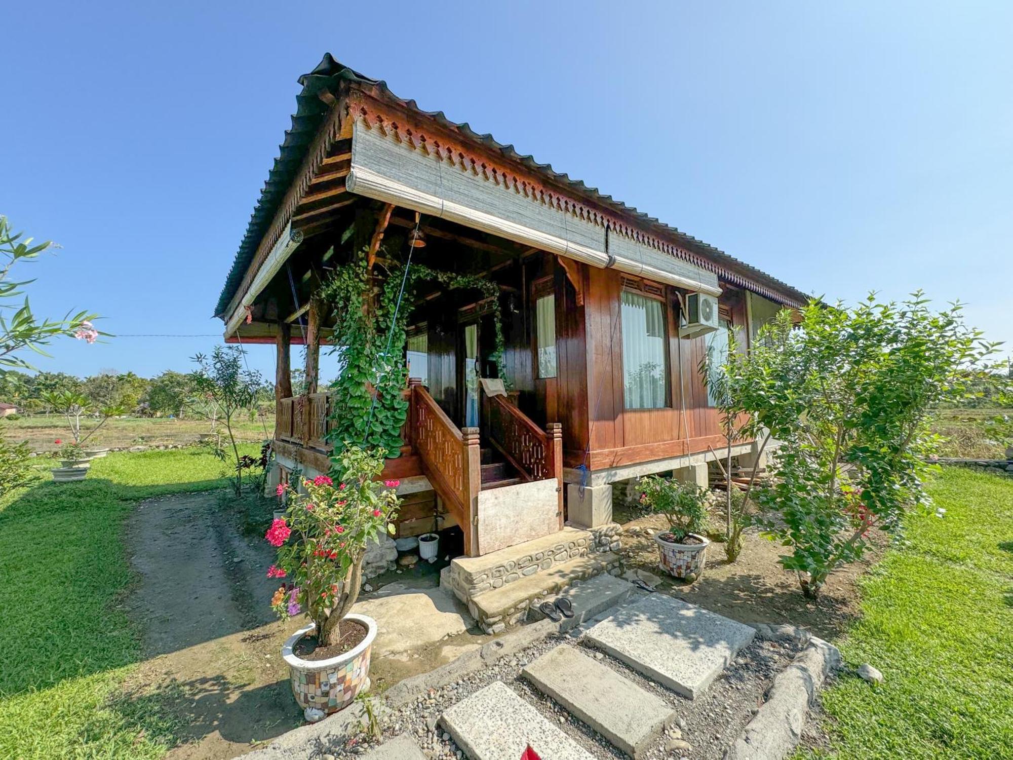 Sumatra Orangutan Treks Villa & Eco Jungle Trekking Activity Timbanglawang Zewnętrze zdjęcie