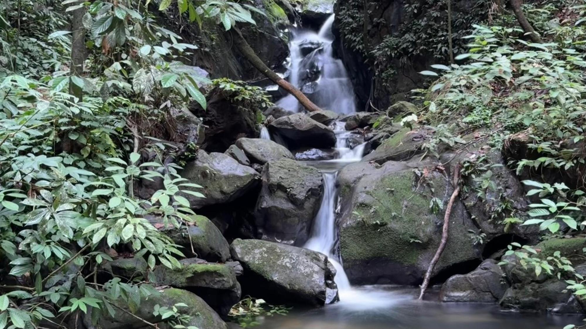 Sumatra Orangutan Treks Villa & Eco Jungle Trekking Activity Timbanglawang Zewnętrze zdjęcie